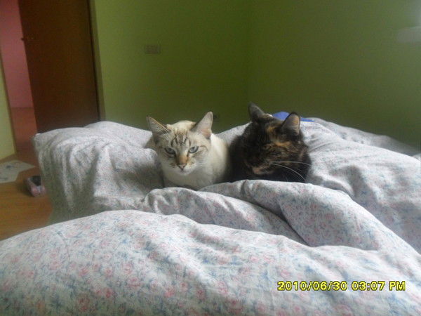 Ульяна Малета