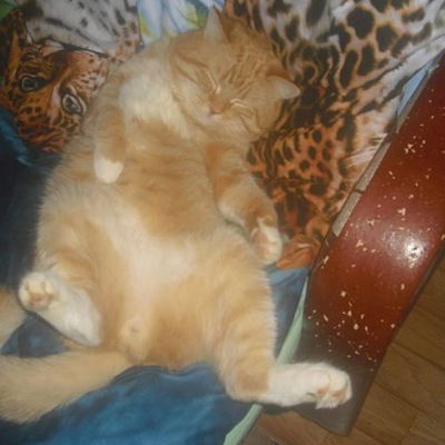 Людмила Милова