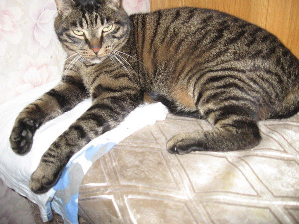 Вадим Горяченко