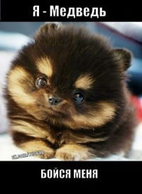 Олеся Медведева