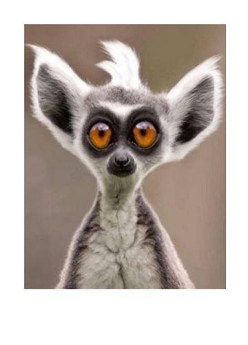 Игорь Кривошеев