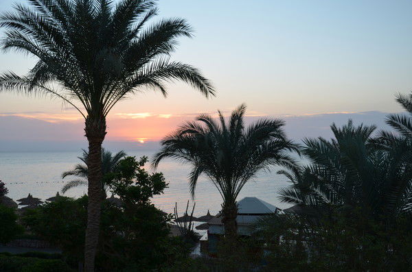 Наталья Сторчевая