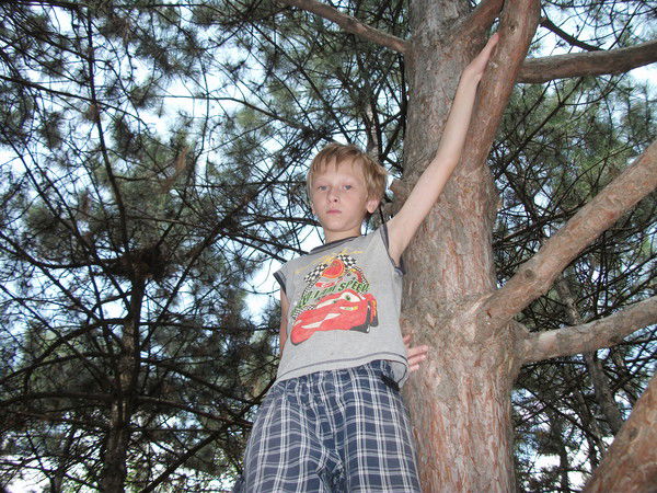 Никита Кривошеев