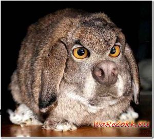 Борис Осипов