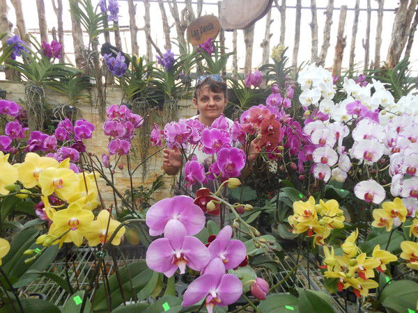 Светлана Ламонова