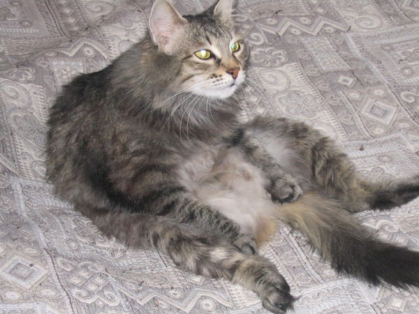 Надежда Павлова