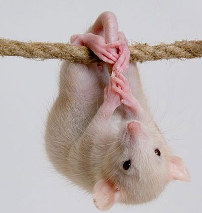 Юля Нидульская