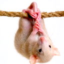 Юля Нидульская