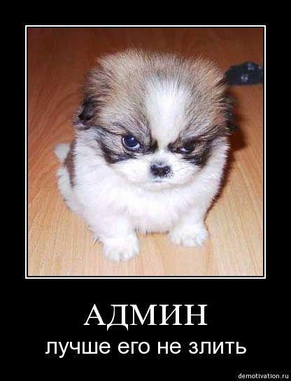 Владимир Сотников