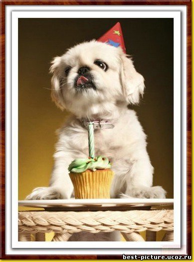 Елена Сабельфельд