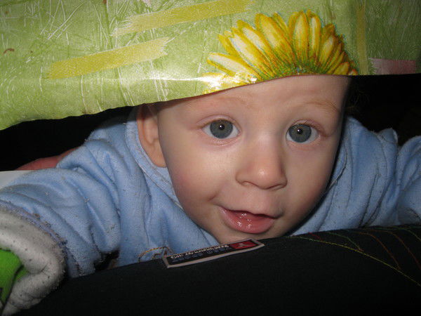 Светлана Романова