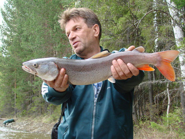 Евгений Никонов