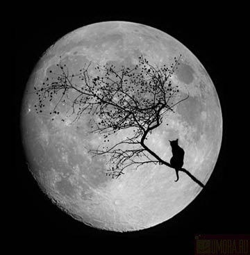 Екатерина Радина