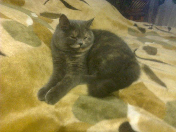 Иван Бирюков