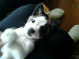 Фадеева Полина