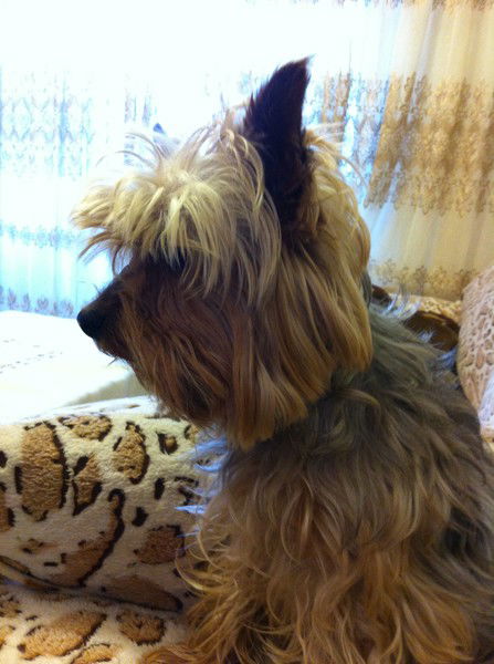 Тамара Кочарян