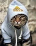 Лариса Иванова