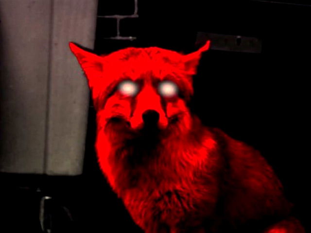 Дарья Тимохина