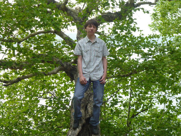 Димончик Лимончик