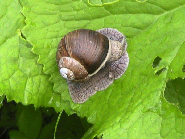 Светлана Кондратенко