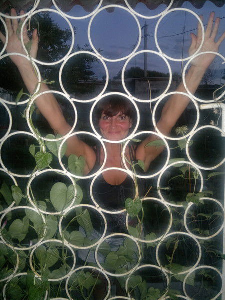 Лариса Мельдович