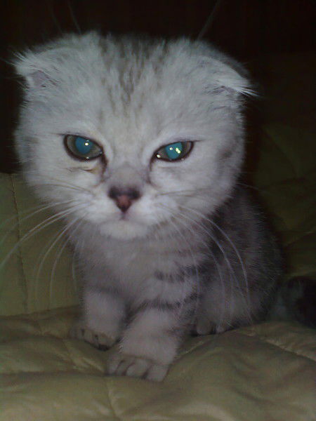 Татьяна Сергеева