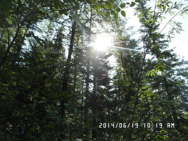 Банщикова Ольга