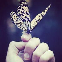 Владислава Полищук