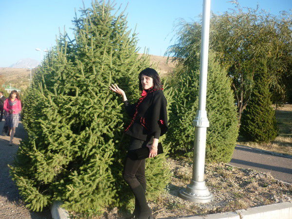 Айдын Разова