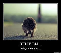 Айжан Садуакасова