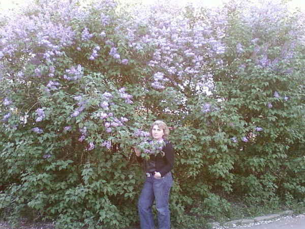 Наталья Яковлева