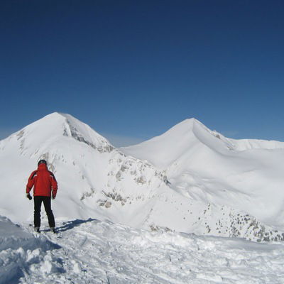 Дмитрий Тимофеев