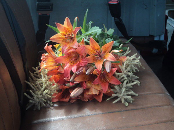 Ксения Порохина