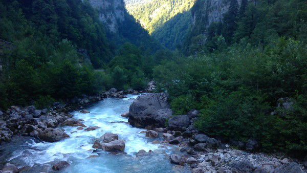 Светлана Сыцько