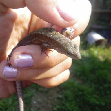 Иришка Асташонок