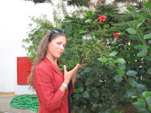 Елизавета Морозова