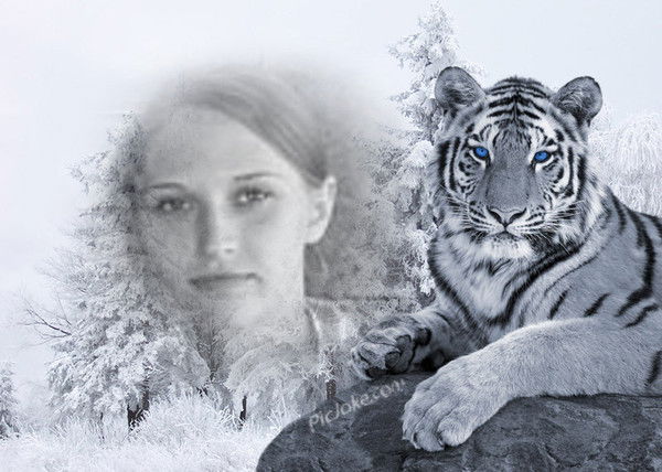 Елена Томина