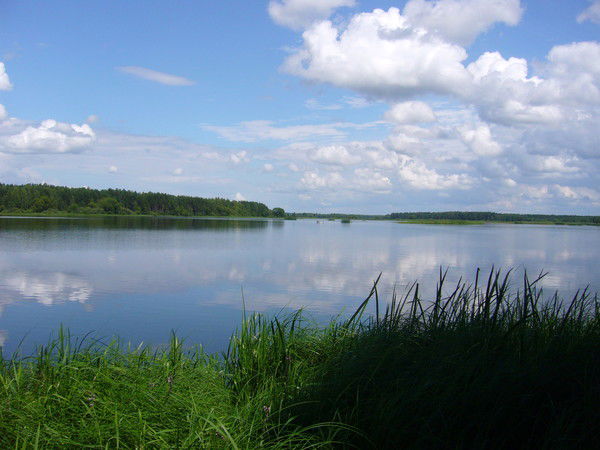 Сергей Шкодинский