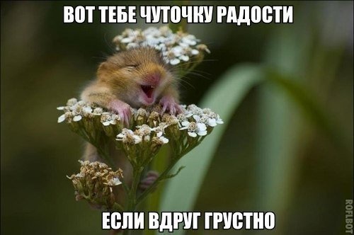 Адильжан Карыбаев