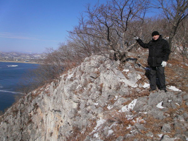 Андрей Шипицын
