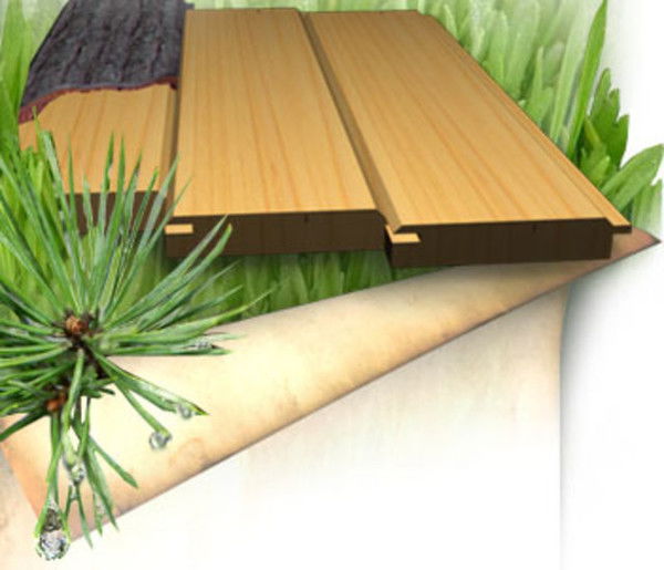 Алексей Казаченко