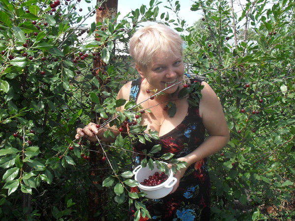 Елена Вильданова