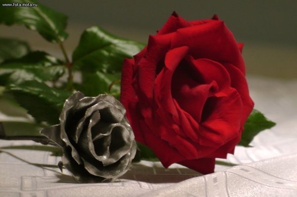 Роза Алибаева