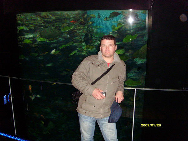 Александр Орехов