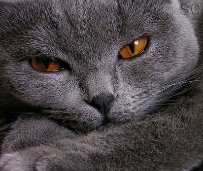 Наталья Марченко