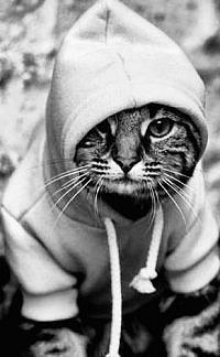 Александр Ли