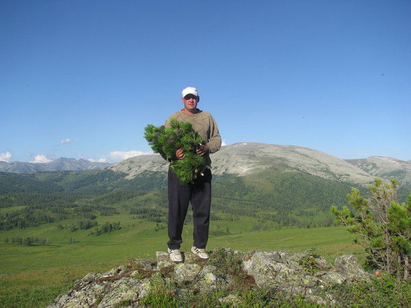 Владимир Юстус