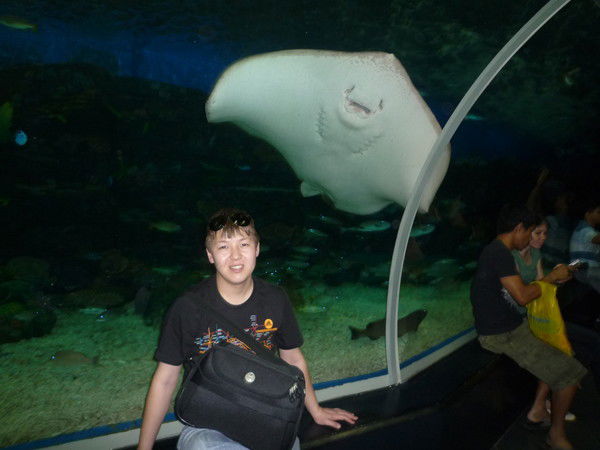 Бауыржан Имангалиев