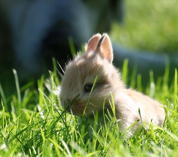 Кристина Башурова