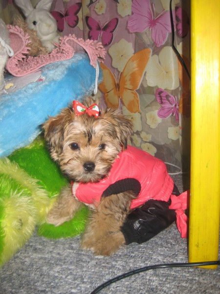 Настя Зубова